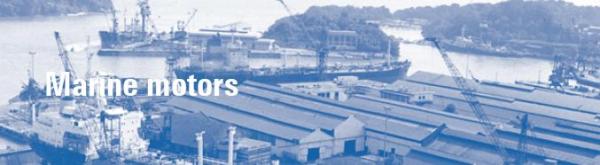 Однофазный асинхронный электродвигатель