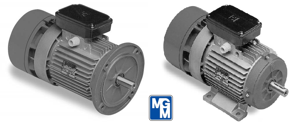 електродвигун з гальмом