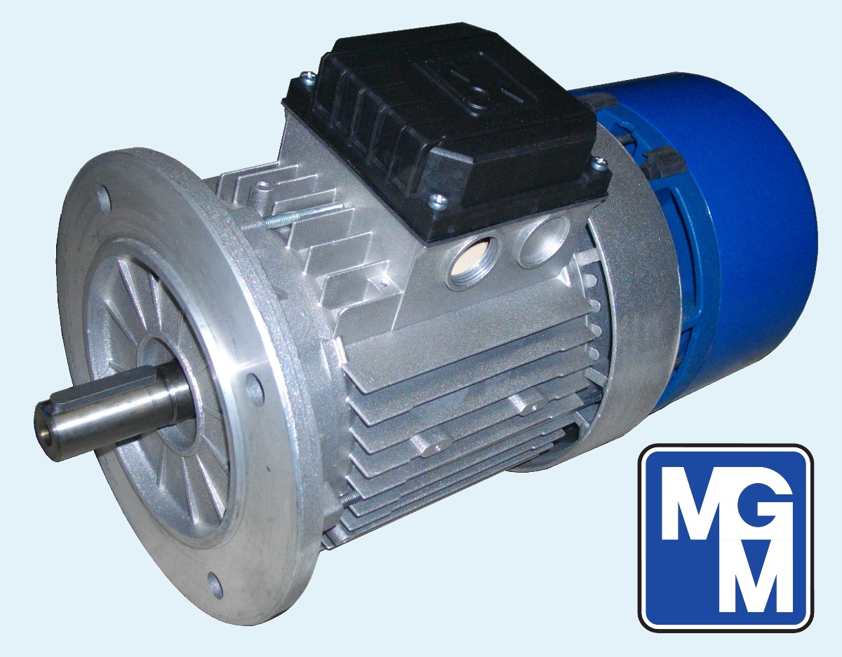 MGM motori elettrici BA90 SA4 Придбвти електродвигун з гальмом