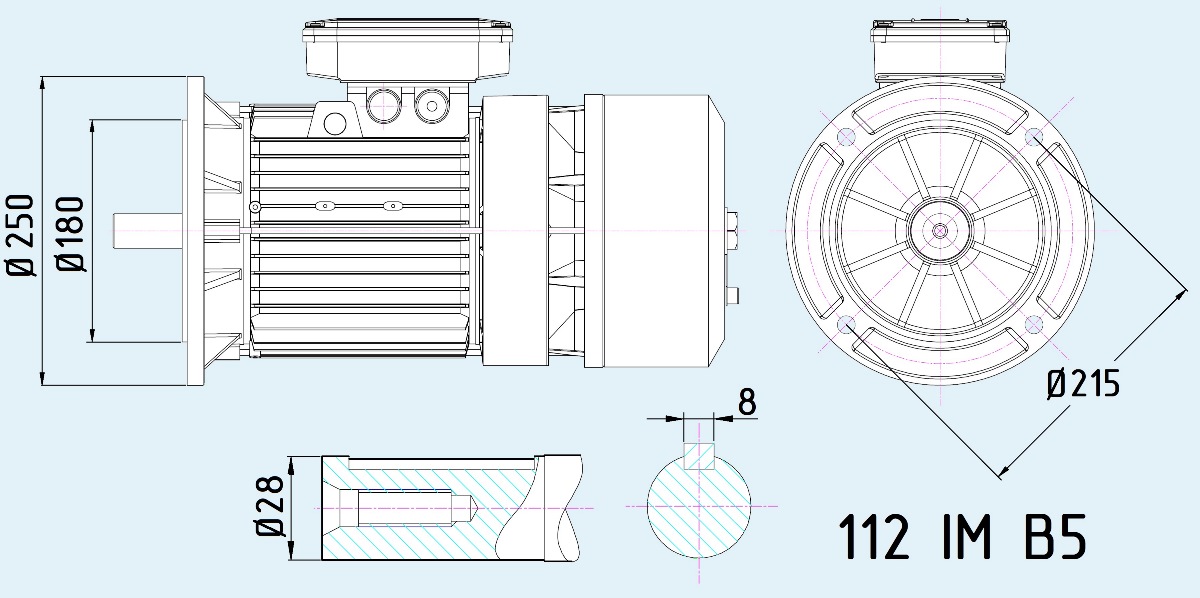 Електродвигун фланцевий