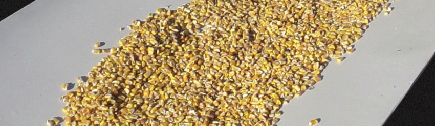 лента транспортёрная